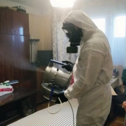 Дезинфекция от клопов в Шацке
