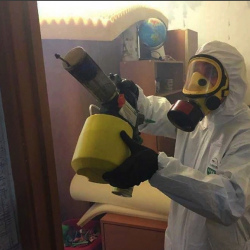 Уничтожение клопов в квартире. Шацк